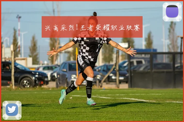 兴高采烈!王者荣耀职业联赛