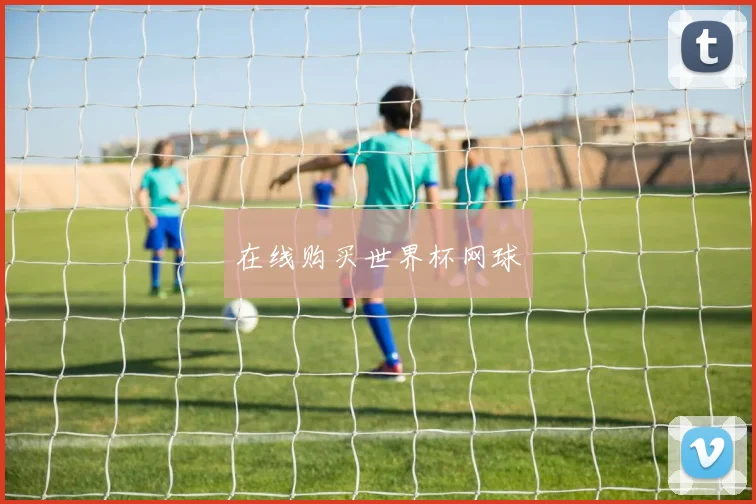 在线购买世界杯网球