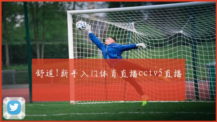 舒适!新手入门体育直播cctv5直播