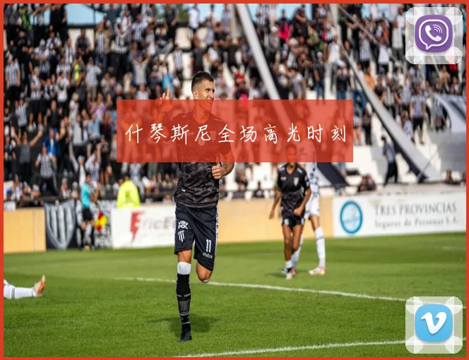 什琴斯尼全场高光时刻