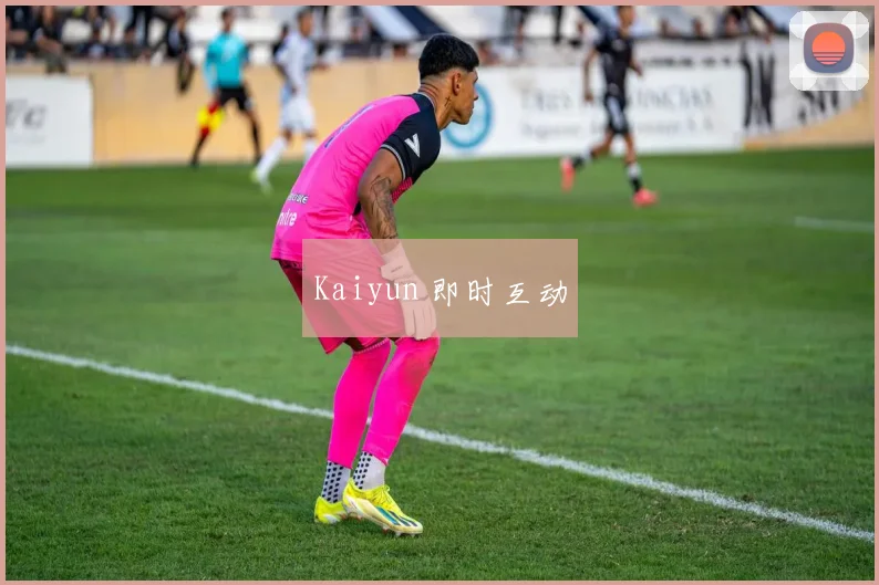 Kaiyun 即时互动