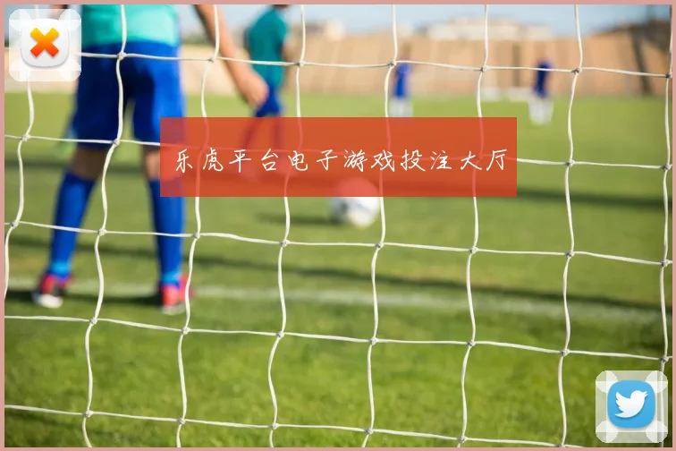 乐虎平台电子游戏投注大厅