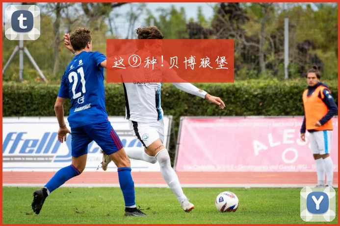 这⑨种!贝博狼堡