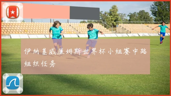 伊纳基威廉姆斯世界杯小组赛中路组织任务