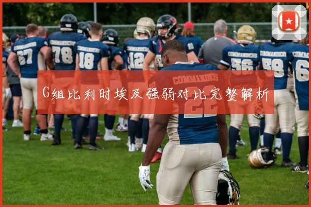 G组比利时埃及强弱对比完整解析